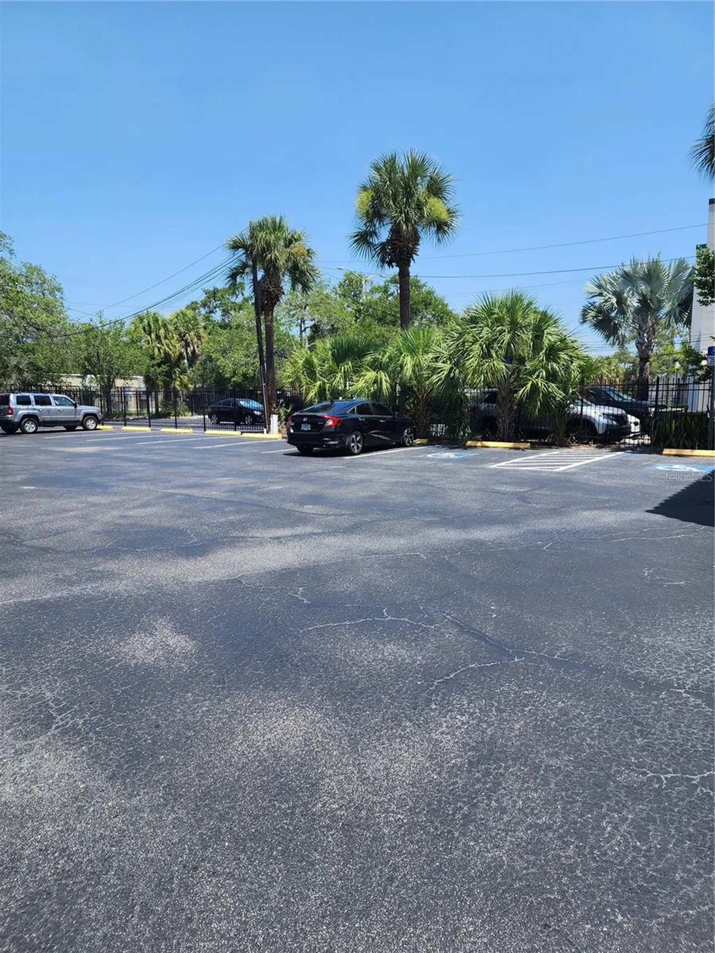 603 S Boulevard Tampa FL 33606