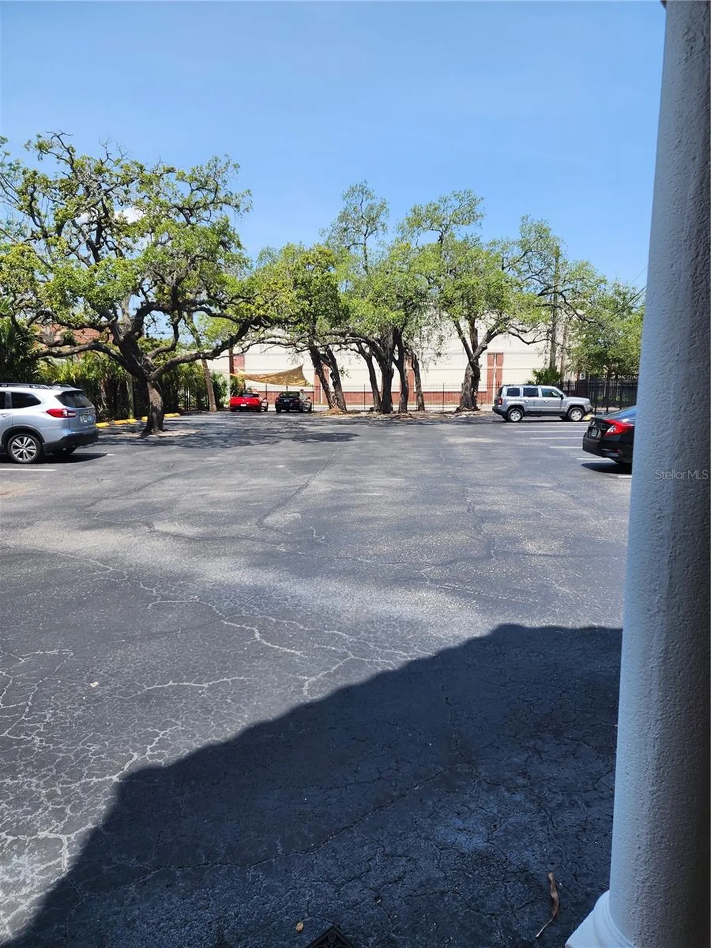 603 S Boulevard Tampa FL 33606