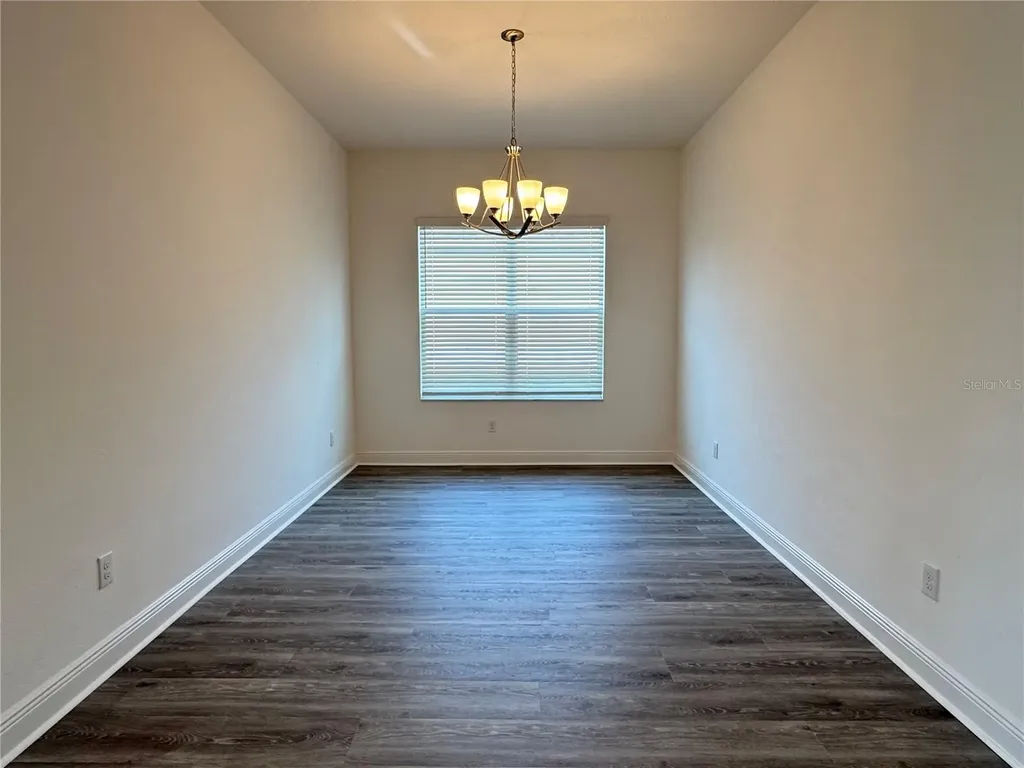 31045 Lindentree Drive Wesley Chapel FL 33543