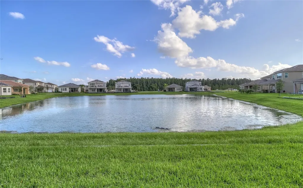 31045 Lindentree Drive Wesley Chapel FL 33543