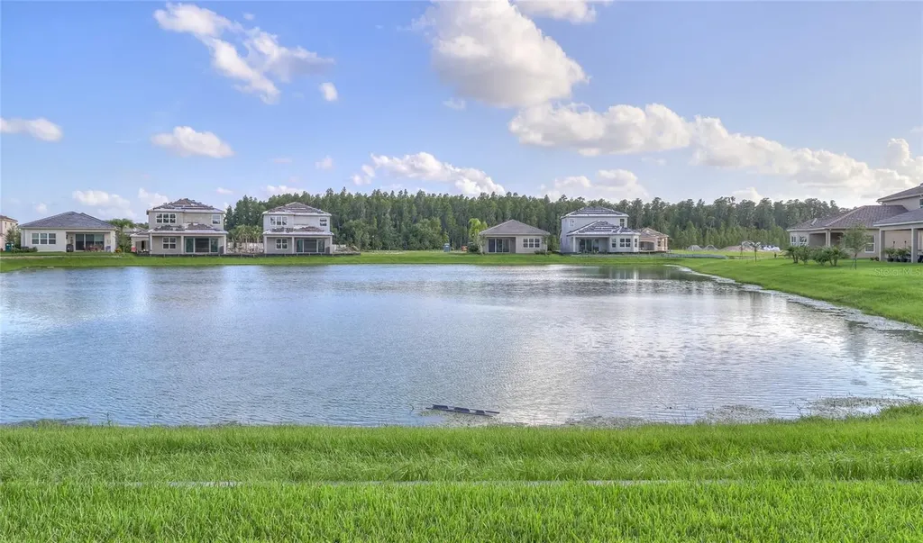31045 Lindentree Drive Wesley Chapel FL 33543