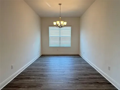 31045 Lindentree Drive Wesley Chapel FL 33543