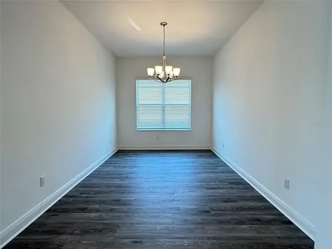 31045 Lindentree Drive Wesley Chapel FL 33543