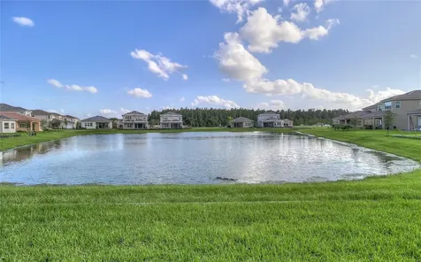 31045 Lindentree Drive Wesley Chapel FL 33543