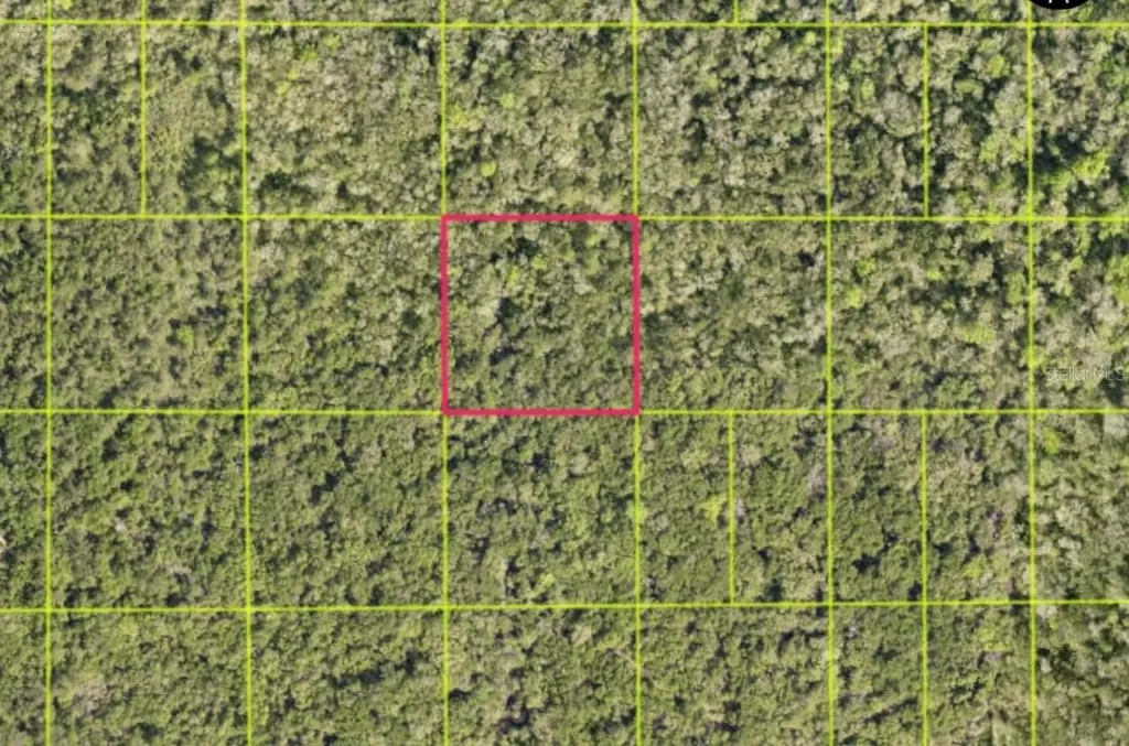 Tbd Access Road Oak Hill FL 32759