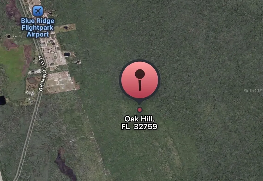 Tbd Access Road Oak Hill FL 32759