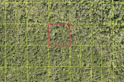 Tbd Access Road Oak Hill FL 32759