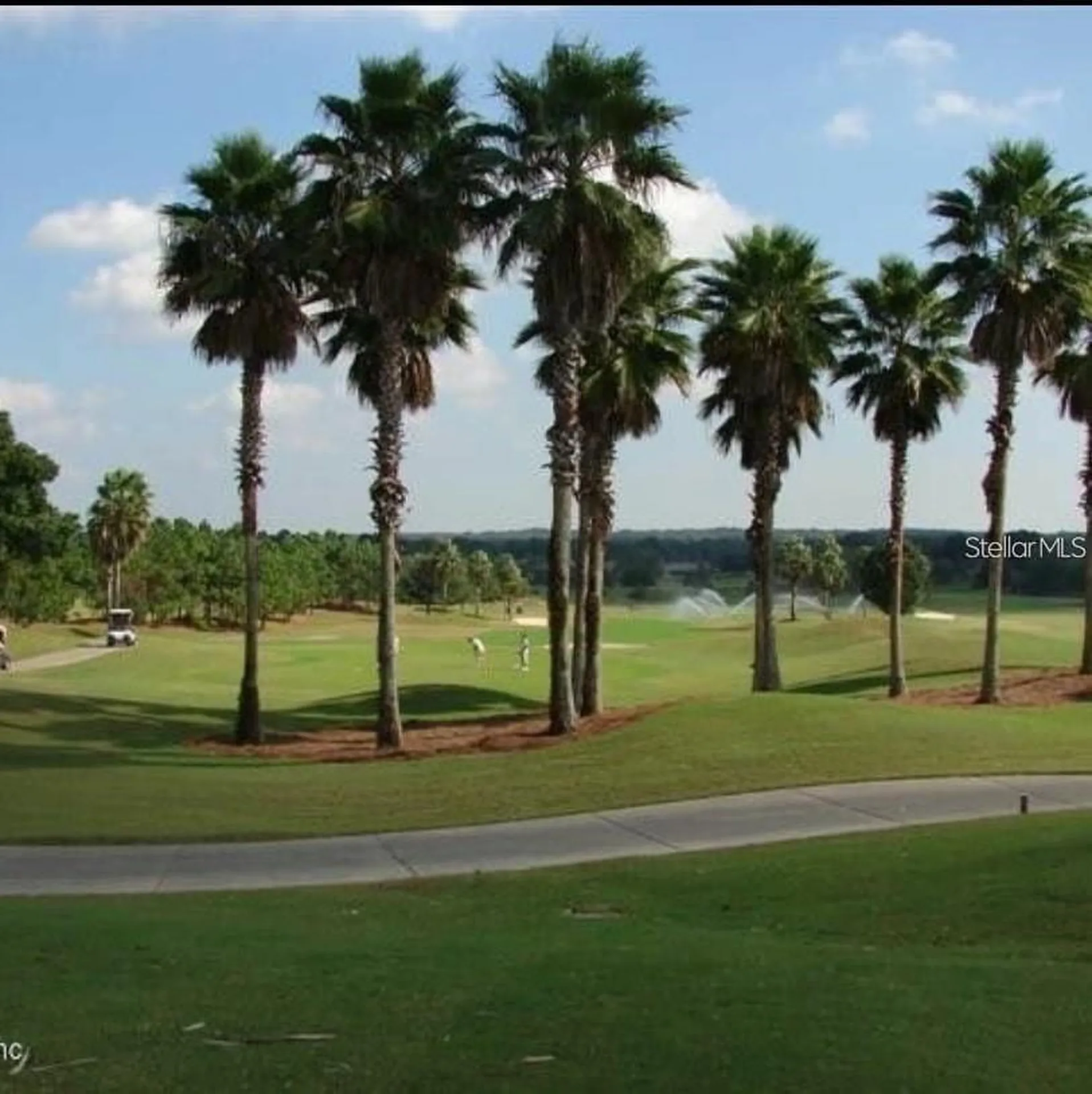 13160 SE 93rd Circle Summerfield FL 34491