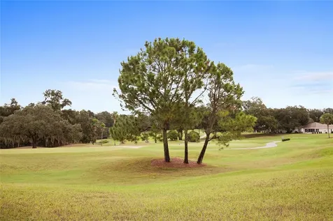 13160 SE 93rd Circle Summerfield FL 34491