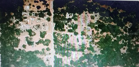 0000 SE Thomas Way Lee FL 32059