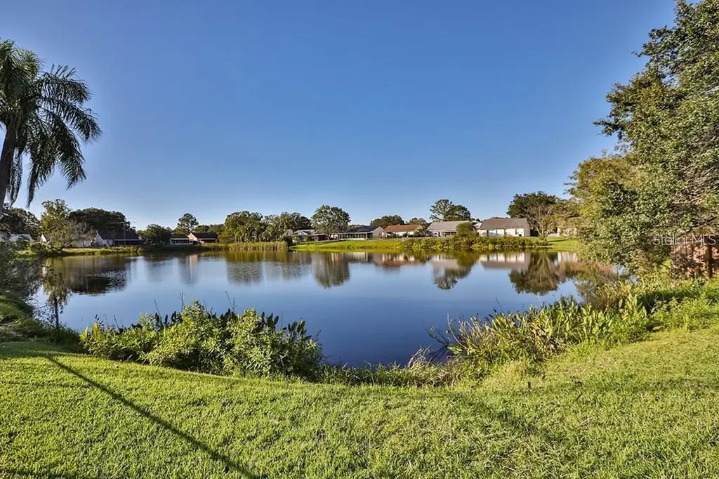 7920 George Washington Lane Tampa FL 33637