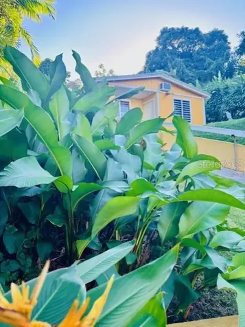 CARR#927 Sector Brazo Sec Kh7.6 Naguabo PR 00718