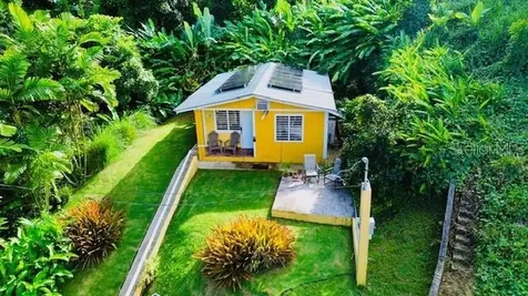 CARR#927 Sector Brazo Sec Kh7.6 Naguabo PR 00718