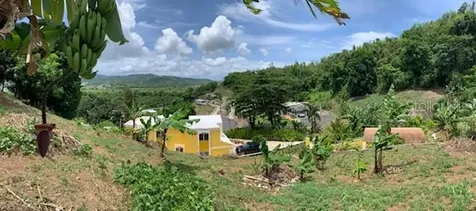 CARR#927 Sector Brazo Sec Kh7.6 Naguabo PR 00718
