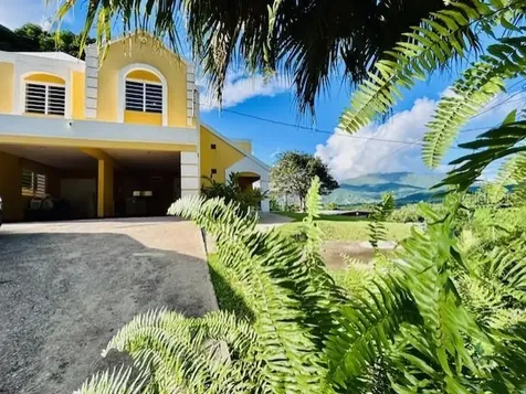 CARR#927 Sector Brazo Sec Kh7.6 Naguabo PR 00718