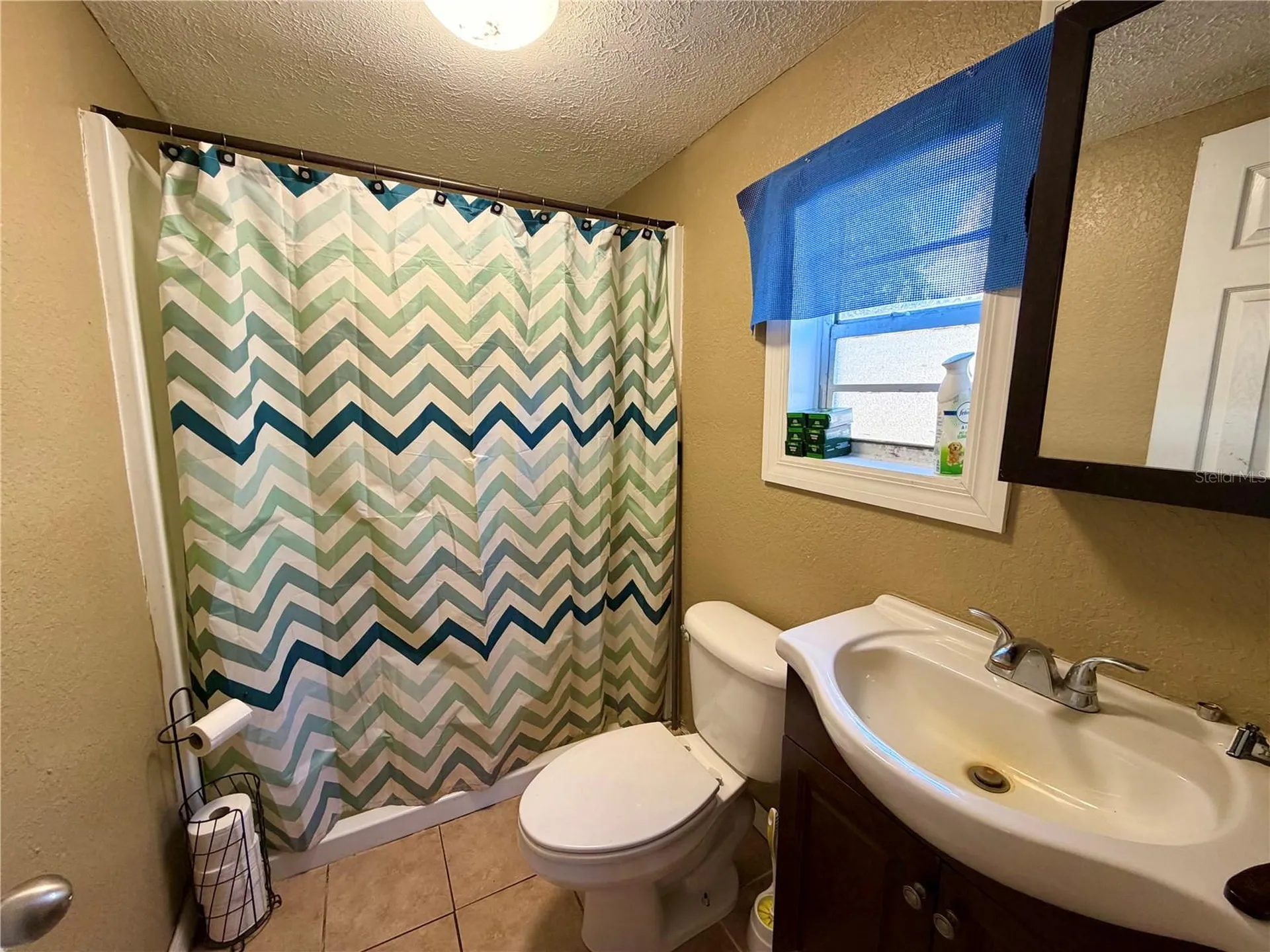 2318 Hibiscus Avenue Seffner FL 33584