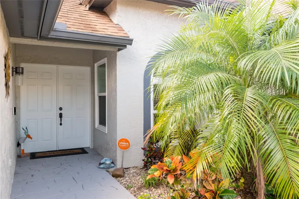 1301 Monte Lake Drive Valrico FL 33596