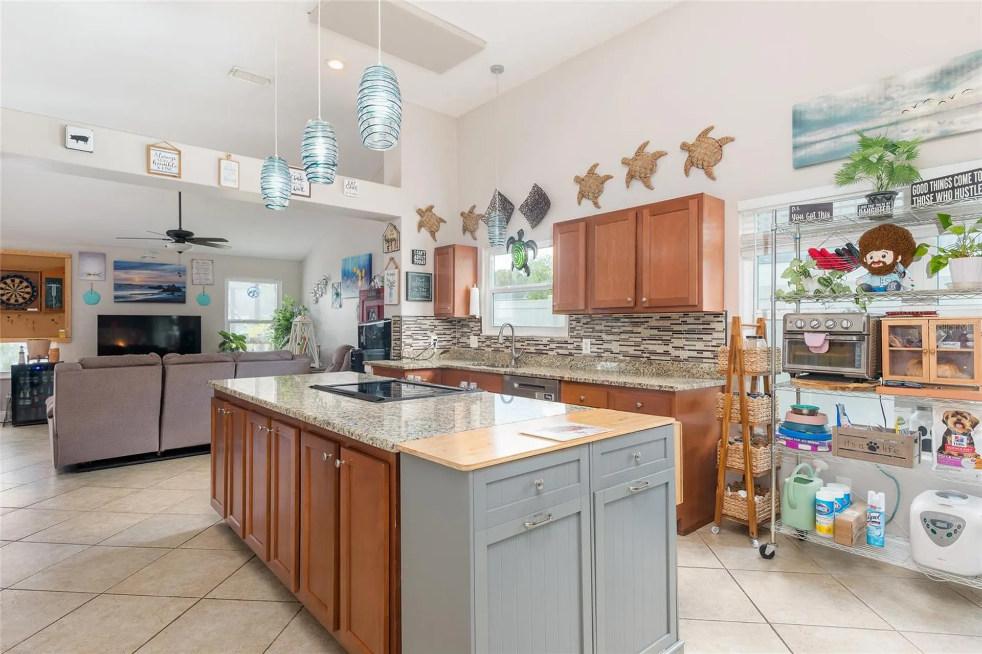 1301 Monte Lake Drive Valrico FL 33596