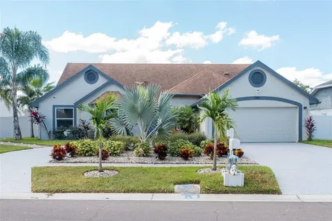 1301 Monte Lake Drive Valrico FL 33596