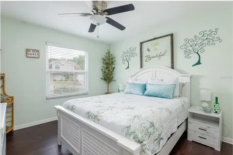 1301 Monte Lake Drive Valrico FL 33596