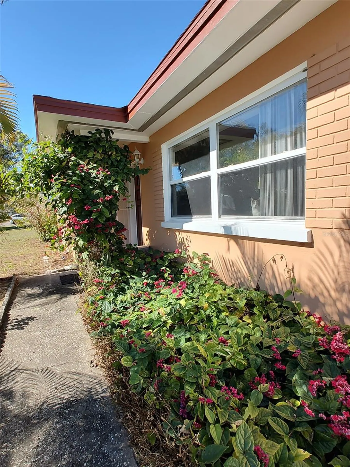 1332 Buckingham Drive Clearwater FL 33756
