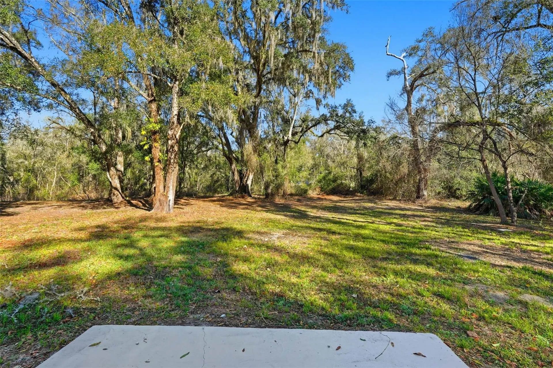 34071 Madison Avenue Dade City FL 33523