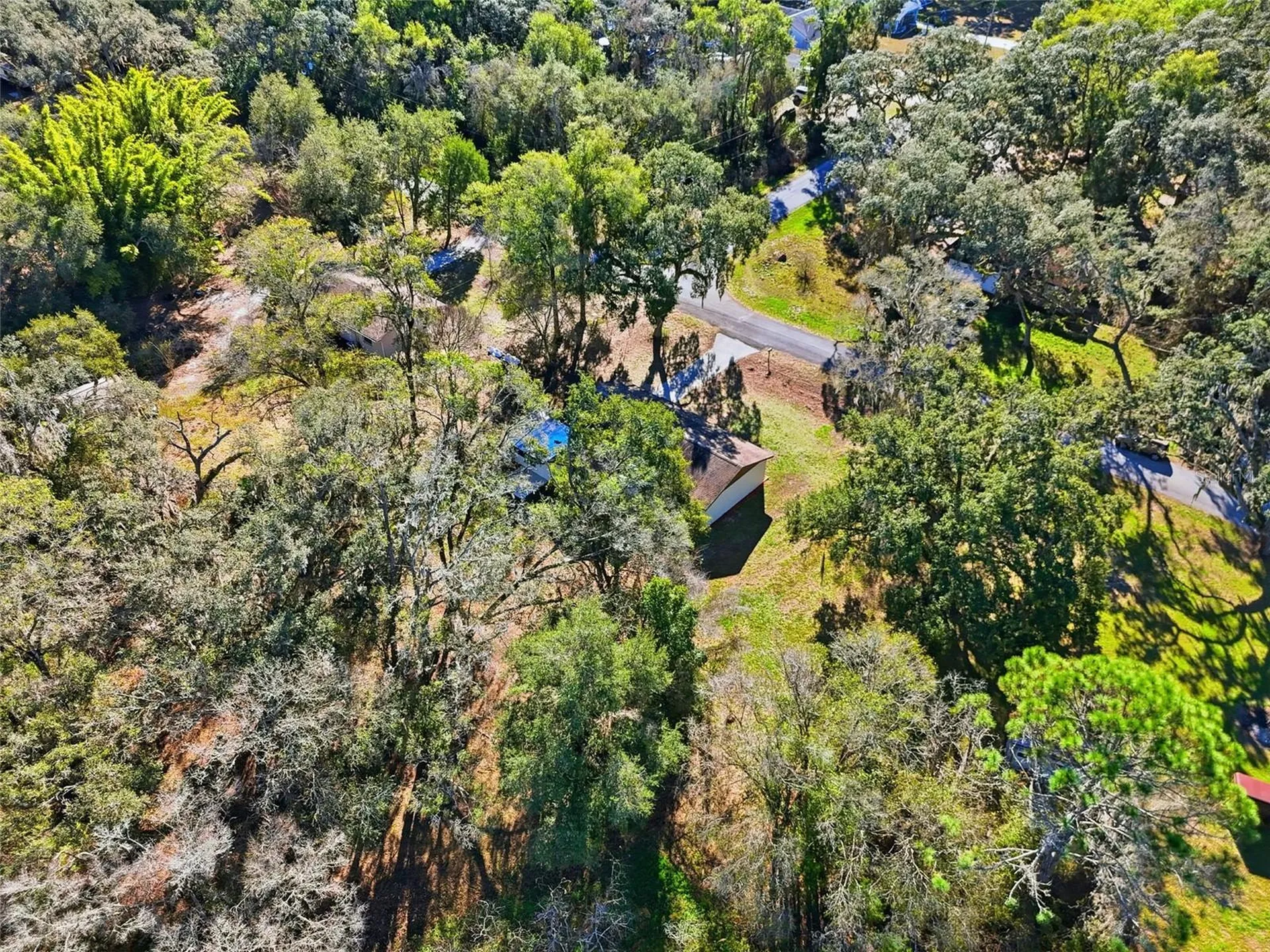 34071 Madison Avenue Dade City FL 33523