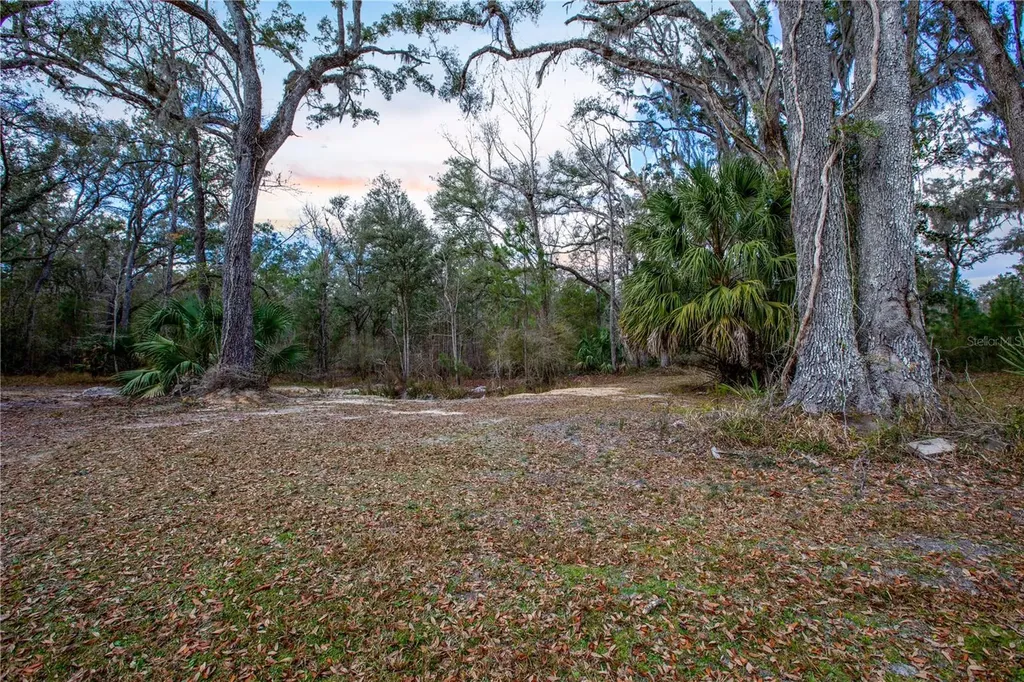 402 SE 709 Street Old Town FL 32680