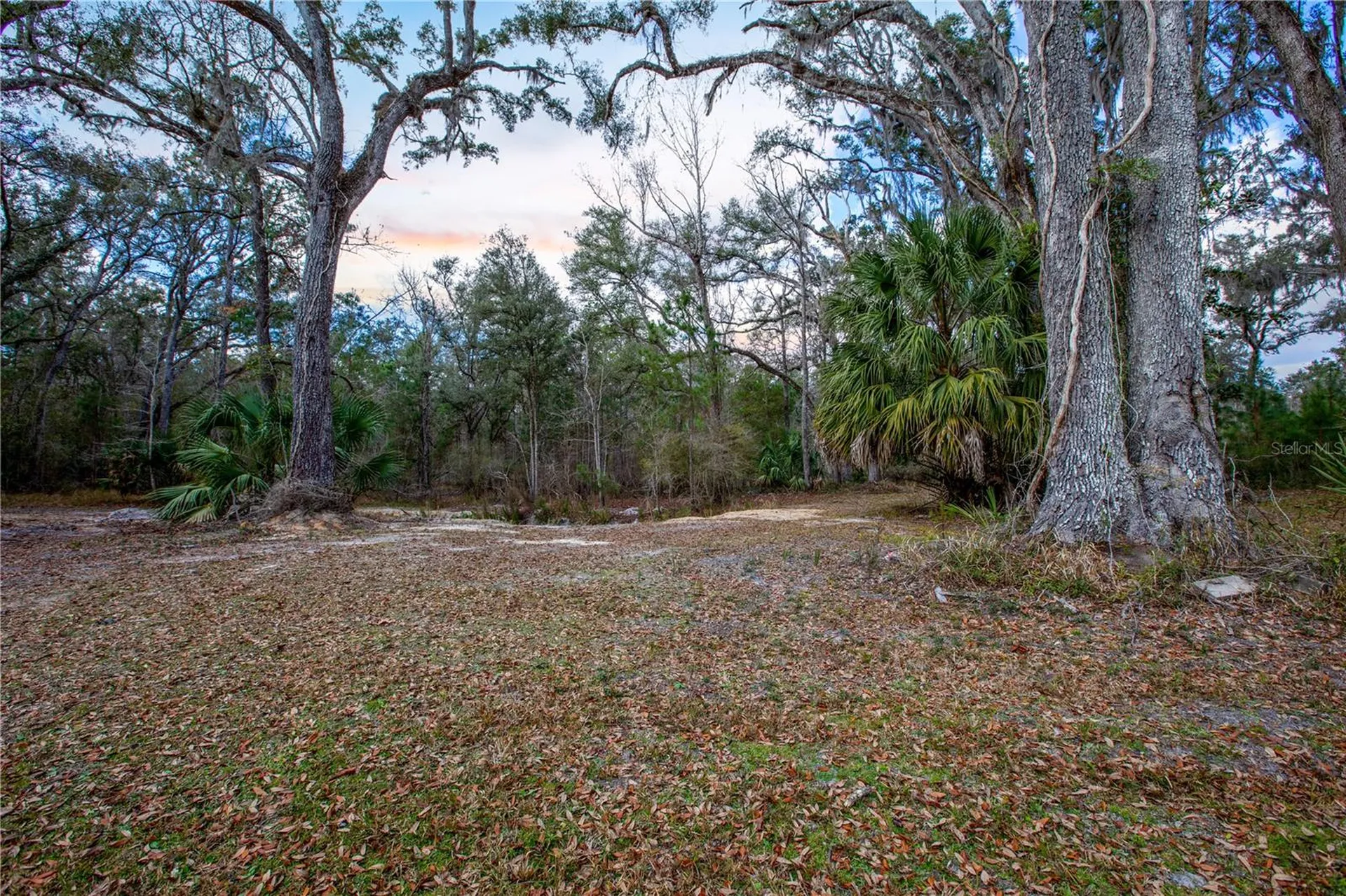 402 SE 709 Street Old Town FL 32680