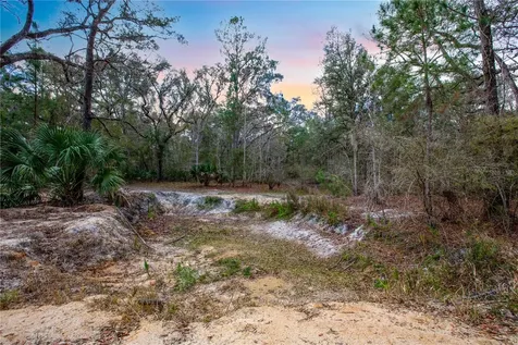 402 SE 709 Street Old Town FL 32680