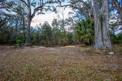 402 SE 709 Street Old Town FL 32680