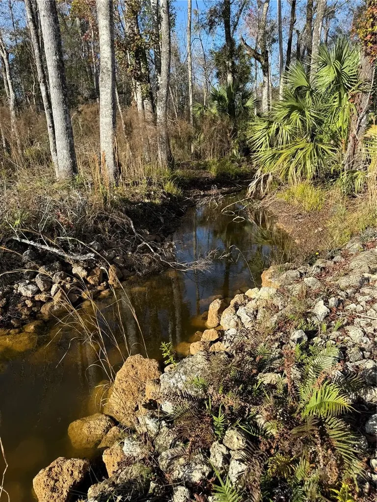 00 Clayton Road Cedar Key FL 32625