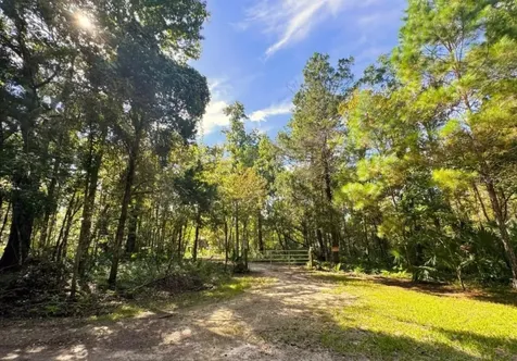 00 Clayton Road Cedar Key FL 32625