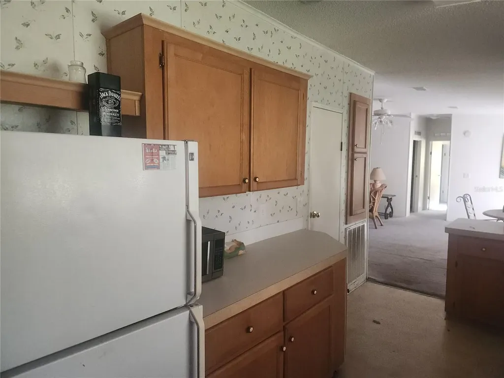 384 Crescent Lake Shore Drive Crescent City FL 32112