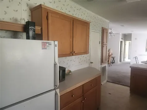 384 Crescent Lake Shore Drive Crescent City FL 32112