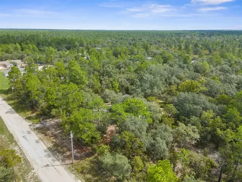 15236 Mottled Owl Road Brooksville FL 34614