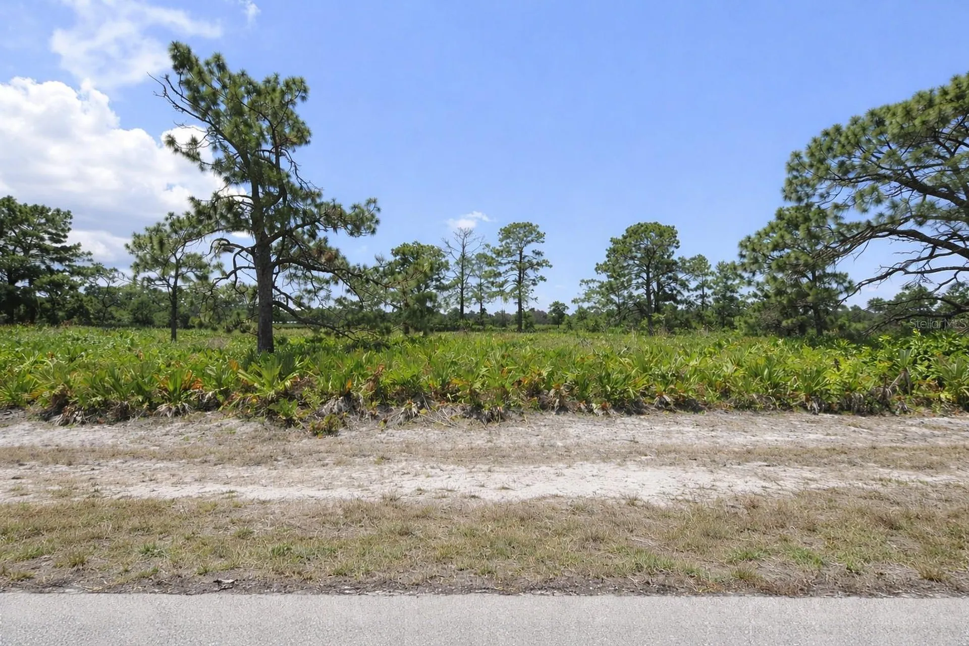 11 Betty Court Placida FL 33946