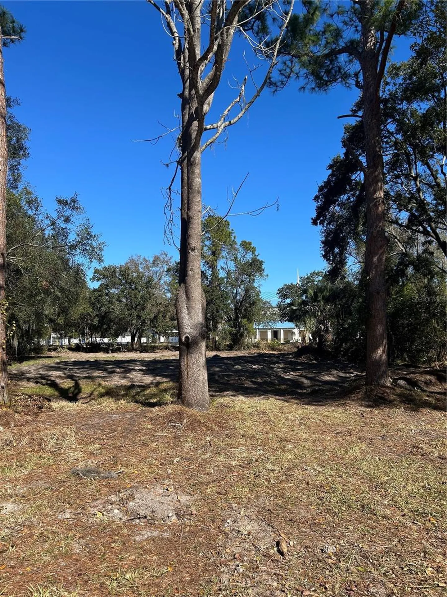 5927 Lynn Road Tampa FL 33624