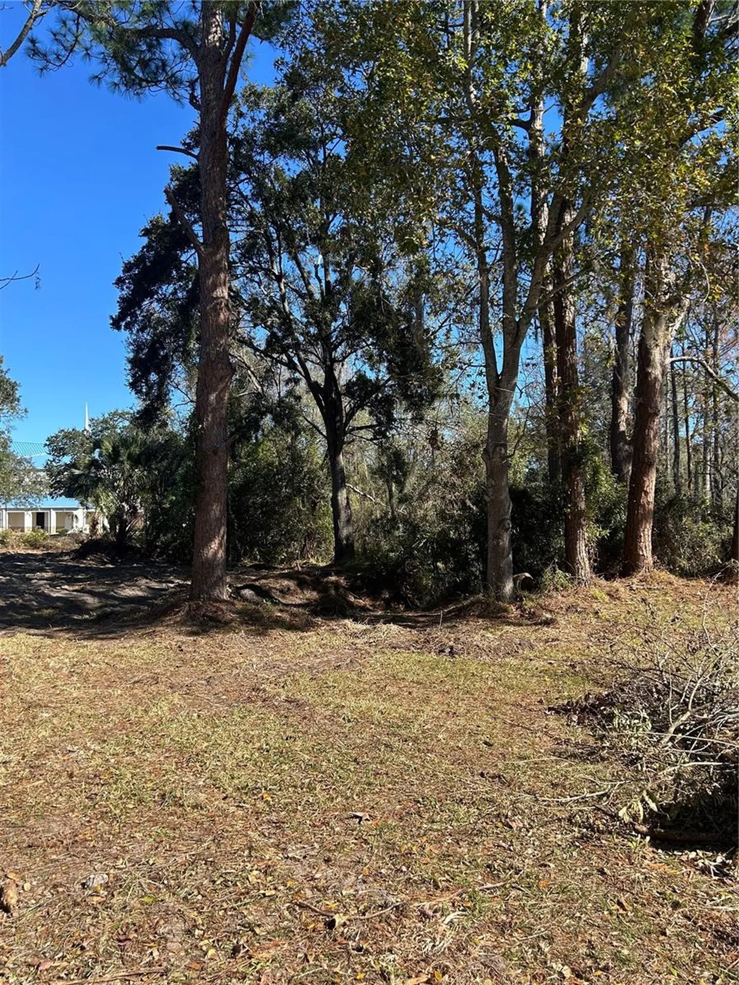 5927 Lynn Road Tampa FL 33624