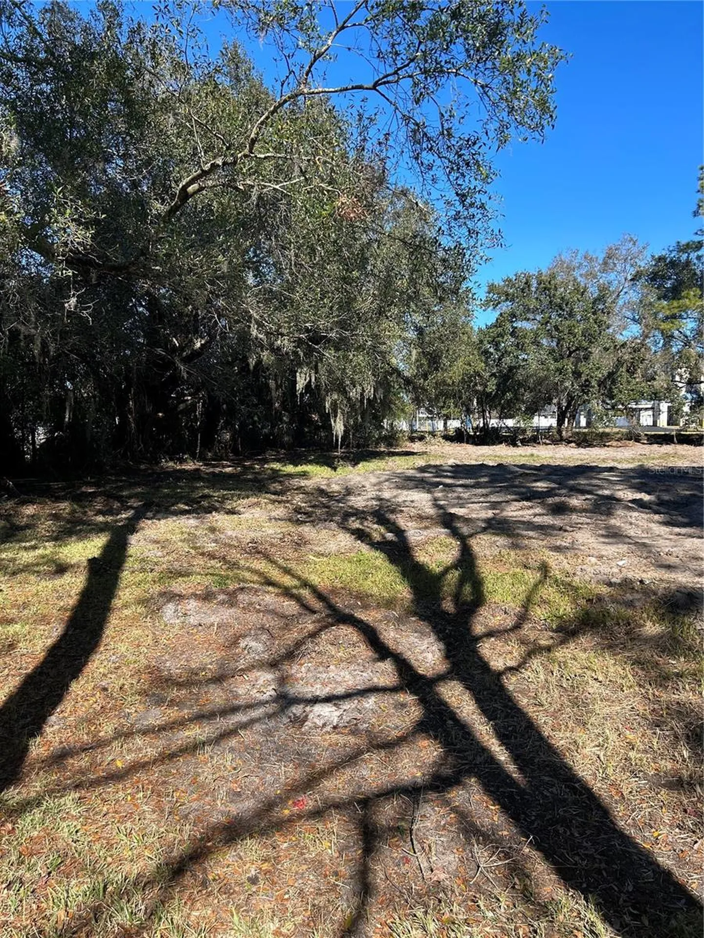 5927 Lynn Road Tampa FL 33624