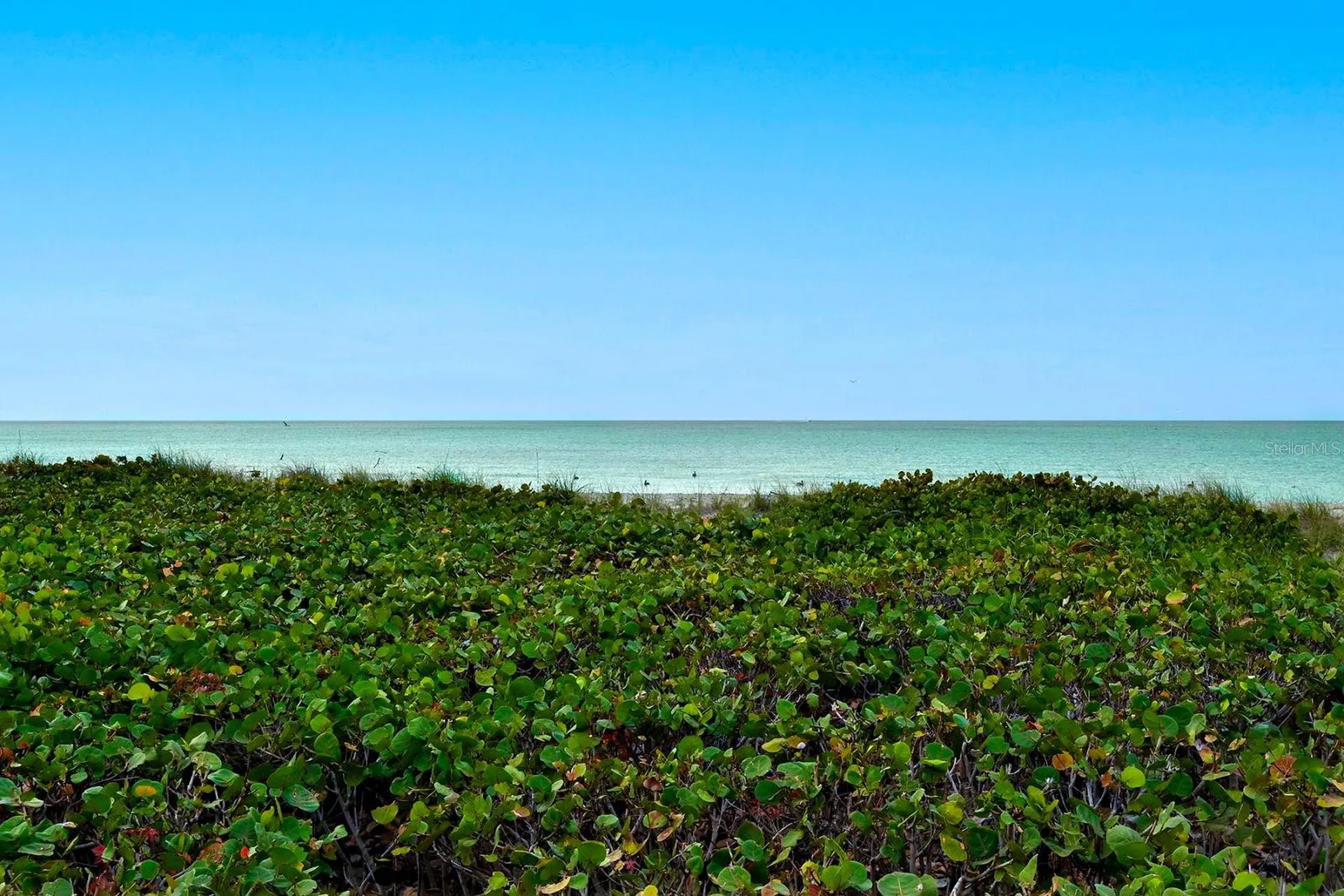 550 Flamingo Drive Venice FL 34285