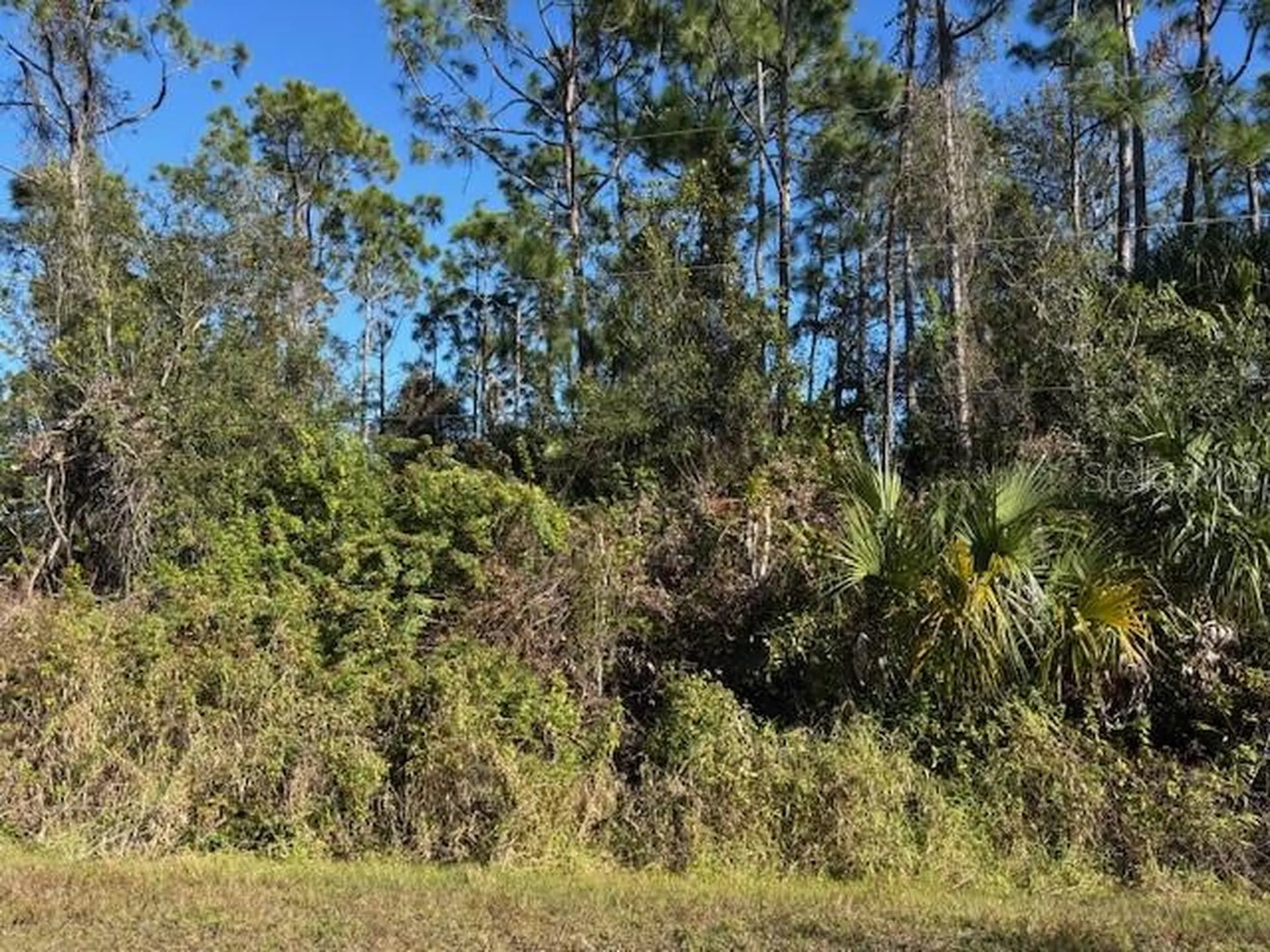 13636 Sulky Drive Punta Gorda FL 33955
