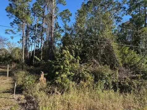 13636 Sulky Drive Punta Gorda FL 33955
