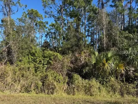 13636 Sulky Drive Punta Gorda FL 33955