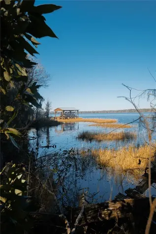 16970 NE 120th Avenue Waldo FL 32694