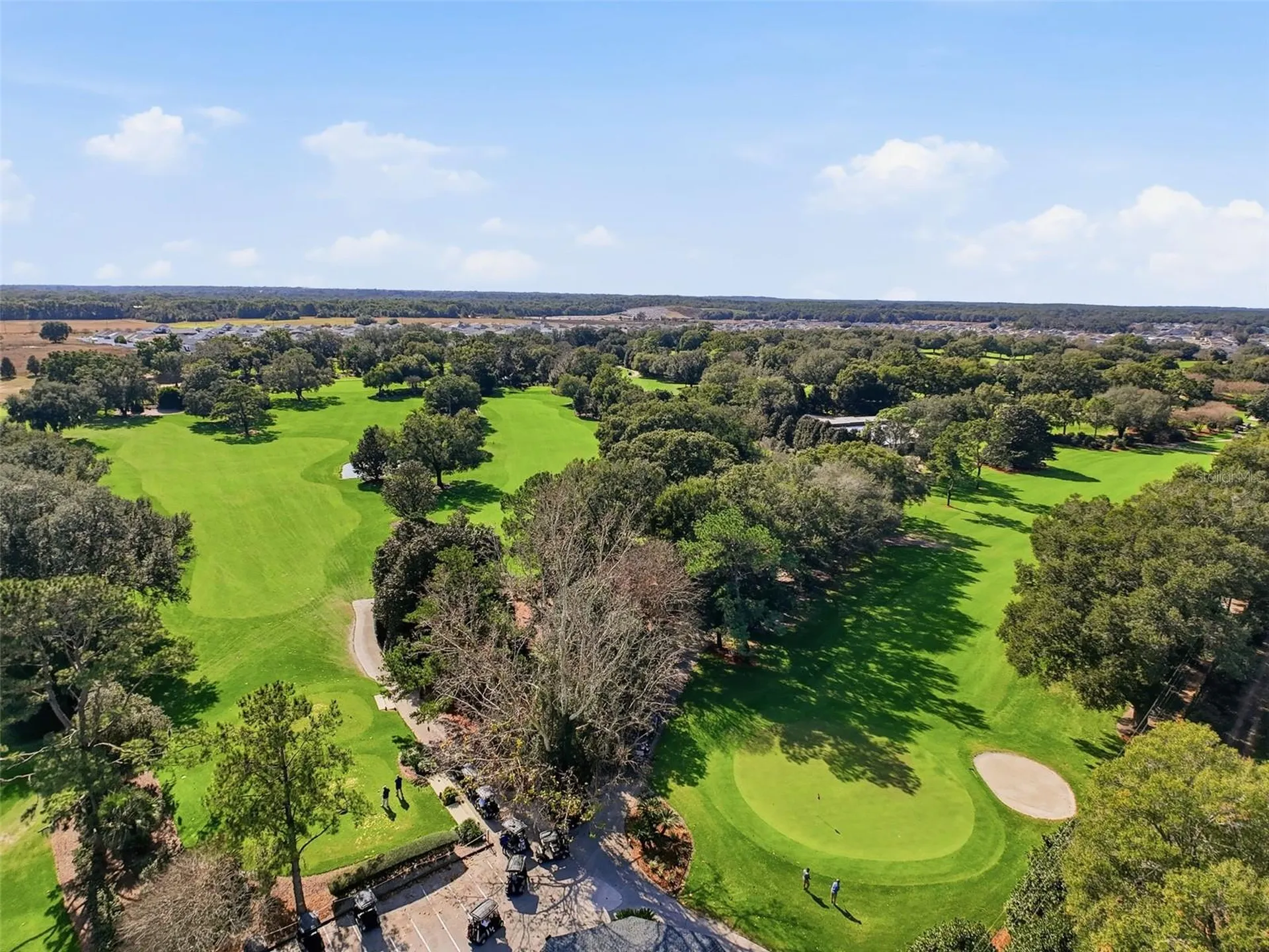 6107 SE Arthur Road Belleview FL 34420