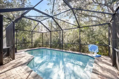 7878 Tuscany Woods Drive Tampa FL 33647