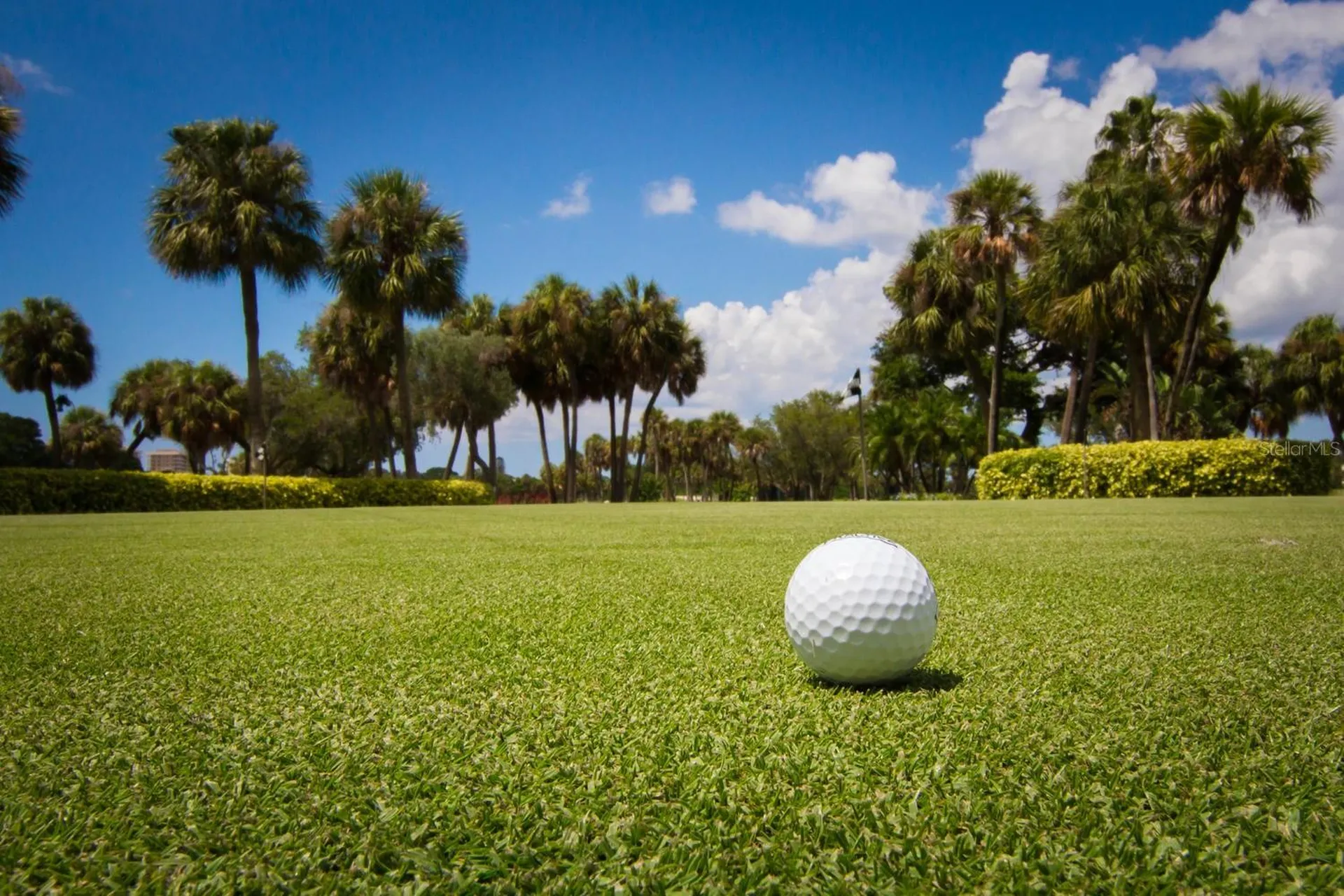 225 Sands Point Road Longboat Key FL 34228