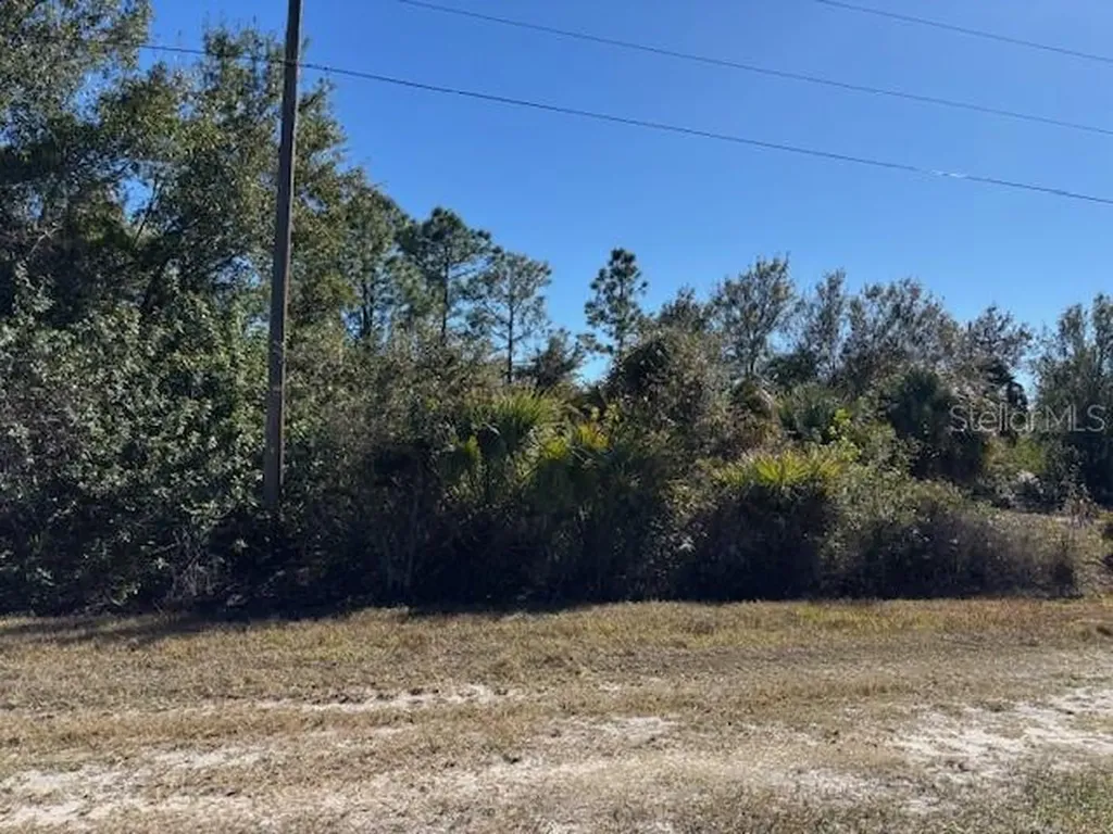 28165 Monte Cristo Drive Punta Gorda FL 33955