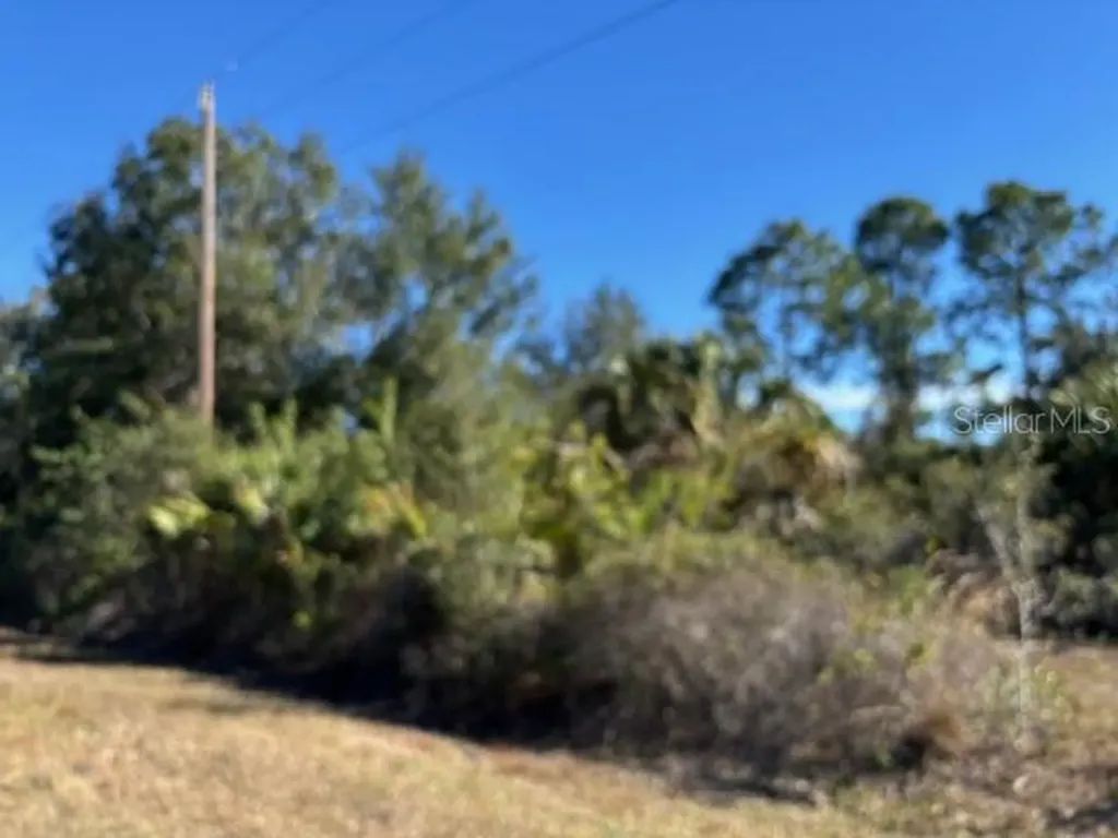 28165 Monte Cristo Drive Punta Gorda FL 33955
